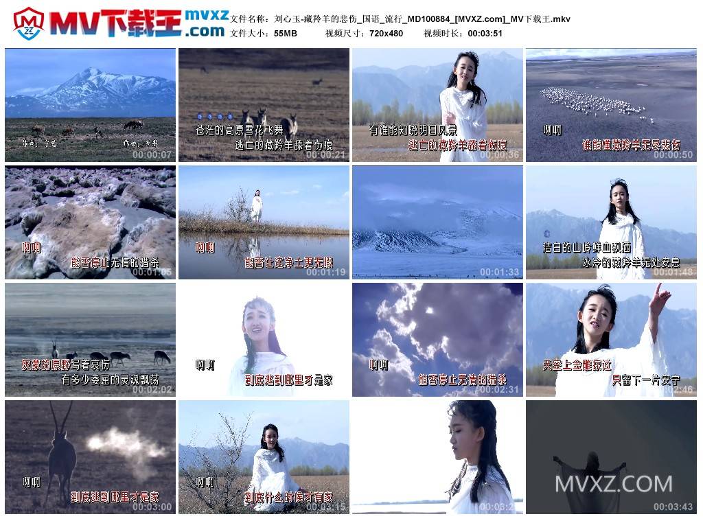 刘心玉-藏羚羊的悲伤_国语_流行_MD100884